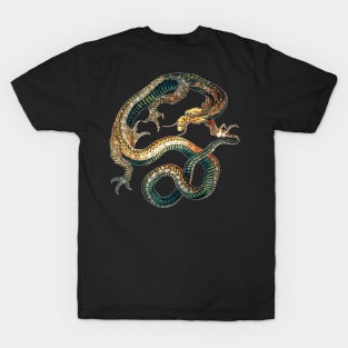 Dragon and Phoenix by Katsushika Hokusai T-Shirt